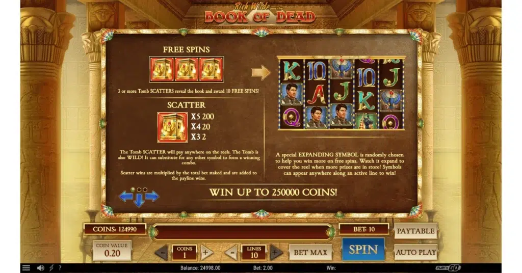 Book of Dead slot provider