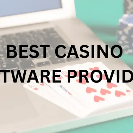 Best Casino Software Providers in 2026